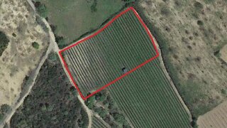 Terreno de 13 600 m² em Bragança