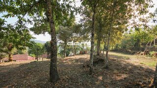 Land for sale in São Pedro do Sul, Portugal — €29,500