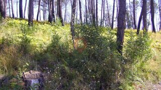 Terreno · 970 m² · 7500 €