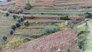 Land for sale in Peso da Régua, Portugal — €11,500