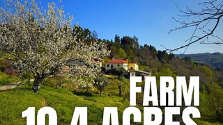 Land for sale in Fornos de Algodres, Portugal — €273,000