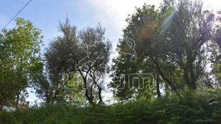 Land for sale in Ponte de Lima, Portugal — €82,000