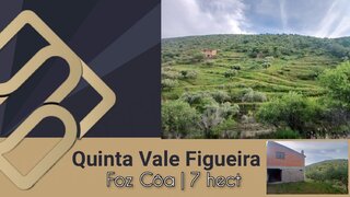 Terreno em Vila Nova de Foz Côa · 70 000 m² · 49 000 €