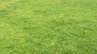Land for sale in Caminha, Portugal — €149,500