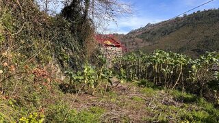 Land for sale in Arcos de Valdevez, Portugal — €15,000