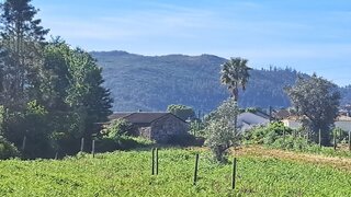 Terreno em Vouzela · 12 000 m² · 190 000 €