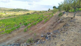 Terreno para venda em Vila Nova de Foz Côa, Portugal — 35 000 €