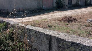 Land for sale in Santa Comba Dão, Portugal — €139,000