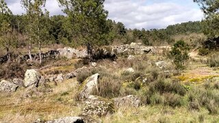 Terreno em Fornos de Algodres