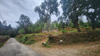 Terreno em Vouzela