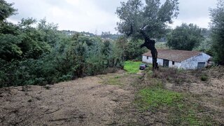 Land for sale in Santa Comba Dão, Portugal — €22,500