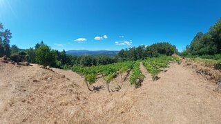 Land for sale in Melgaço, Portugal — €25,000