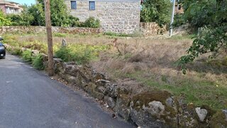 Land for sale in Viseu, Portugal — €29,000