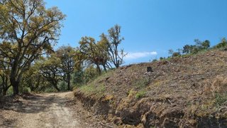 Land for sale in Vila Flor, Portugal — €18,000