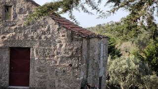 Land for sale in Fornos de Algodres, Portugal — €460,000