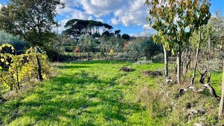 Land for sale in Tondela, Portugal — €27,000