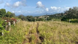 Land for sale in Monção, Portugal — €18,000