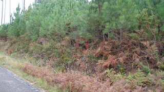 Terreno · 2000 m² · 15 000 €