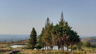 Land for sale in Gouveia, Portugal — €12,900