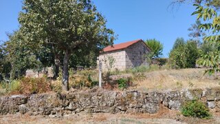 Land for sale in Santa Comba Dão, Portugal — €149,000