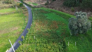 Land for sale in Ponte de Lima, Portugal — €37,000