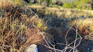 Terreno para venda em Tabuaço, Portugal — 60 000 €