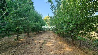Land for sale in São Pedro do Sul, Portugal — €10,500