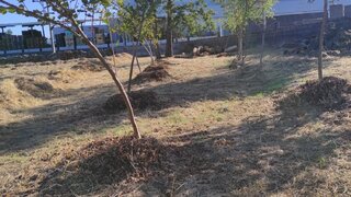 Land for sale in Tondela, Portugal — €150,000