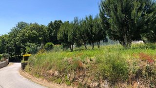 Land for sale in Santa Comba Dão, Portugal — €17,500