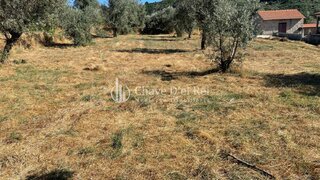 Terreno de 1540 m² em Nelas
