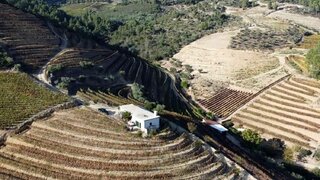 Land for sale in Alijó, Portugal — €255,000
