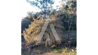 Terreno em Viana do Castelo · 10 365 m² · 35 000 €