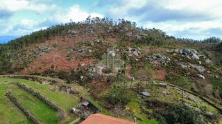 Terreno em Oliveira de Frades