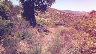Terreno em Vila Nova de Foz Côa