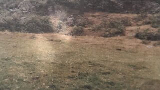 Land for sale in Sernancelhe, Portugal — €32,000