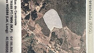 Terreno em Celorico da Beira