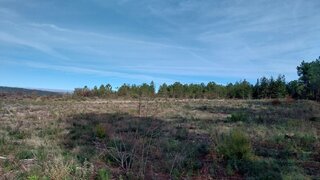 Land for sale in Sernancelhe, Portugal — €76,000