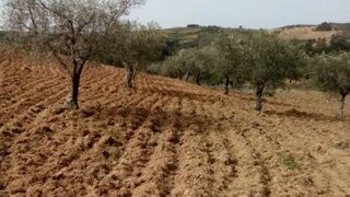 Terreno em Vimioso
