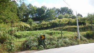 Land for sale in Arcos de Valdevez, Portugal — €30,000