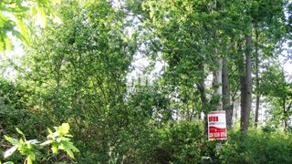 Land for sale in Viana do Castelo, Portugal — €15,900