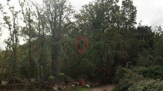 Land for sale in Monção, Portugal — €550,000