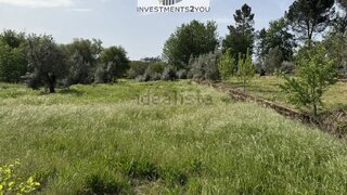 Land for sale in Carregal do Sal, Portugal — €28,000