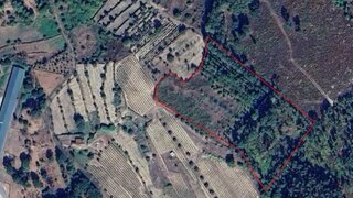 Land for sale in Mangualde, Portugal — €20,000