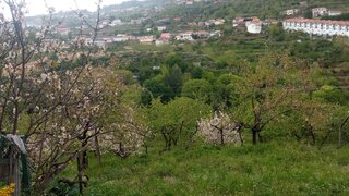 Land for sale in Resende, Portugal — €39,000