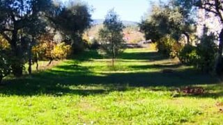 Terreno de 740 m² em Viseu