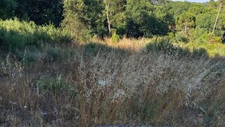 Terreno de 3696 m² em Viseu