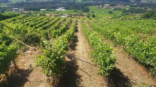 Land for sale in Melgaço, Portugal — €495,000