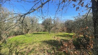 Terreno em Gouveia