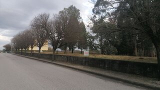 Land for sale in Santa Comba Dão, Portugal — €140,000