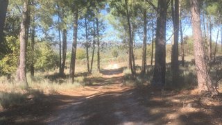 Land for sale in Fornos de Algodres, Portugal — €97,990